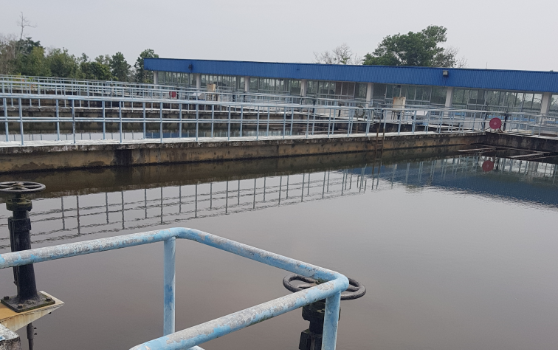 Construction of New Plant