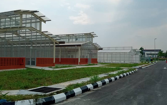 Building & Civil Works