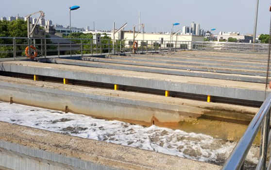 Construction of New Plant