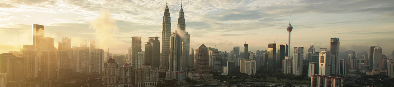 Project Portfolio Banner