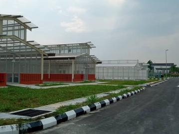 Glass House, Roadwork & Drainage